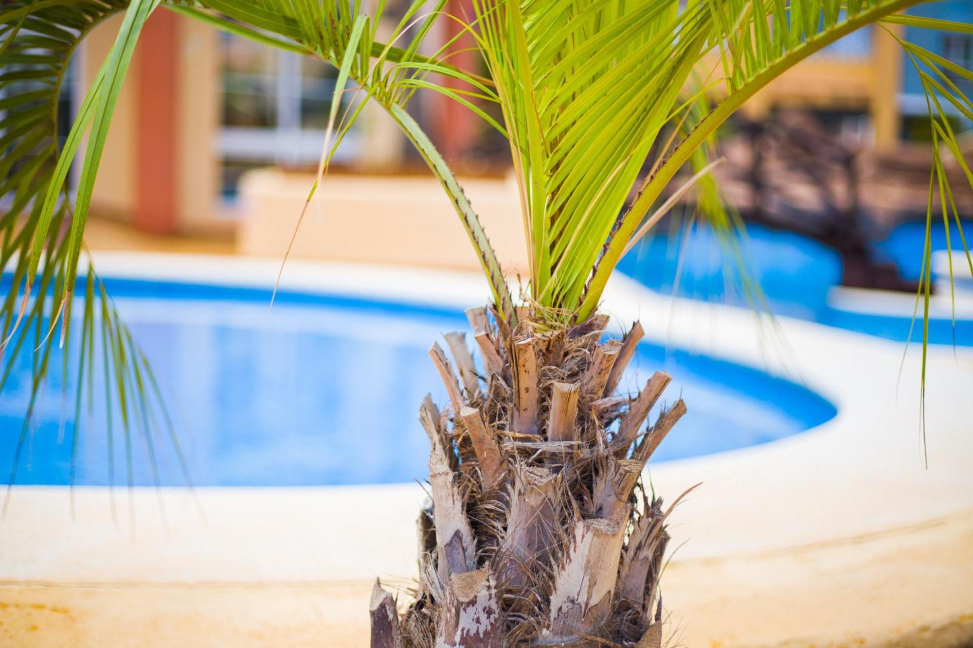 Apartamento Turistico Verdemar 2 La Manga del Mar Menor Exterior foto